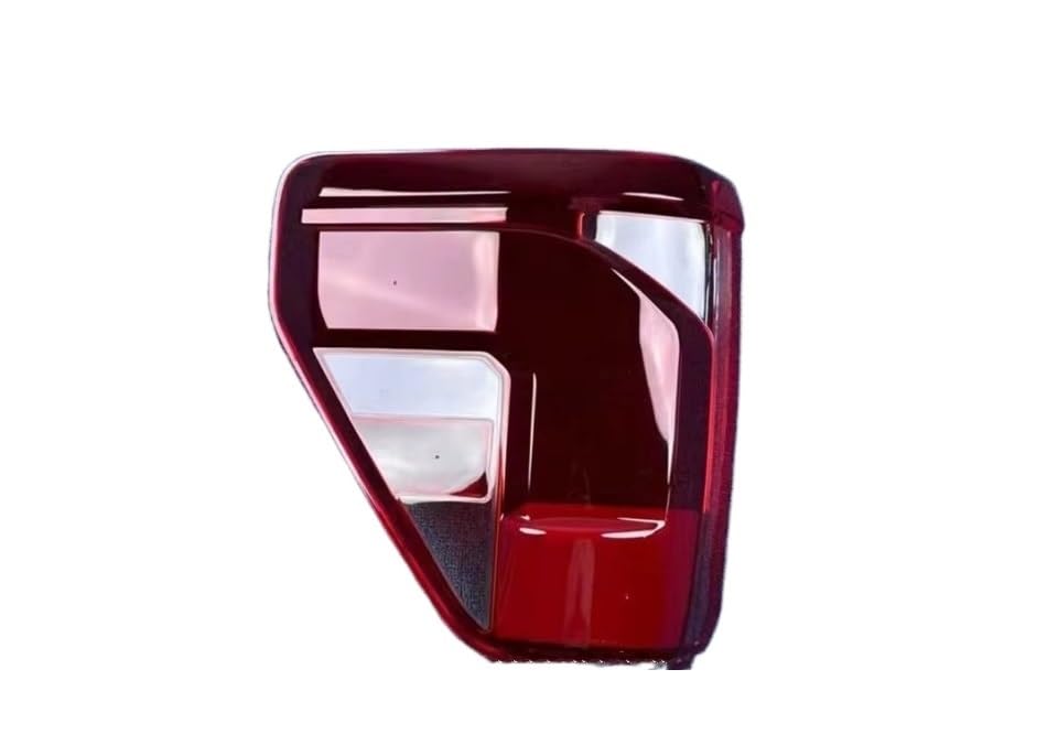 Feu arrière pour Ford F150 Raptor 2024 coque de remplacement gauche