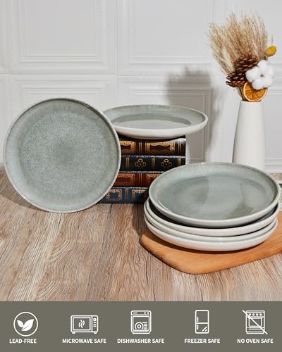 Image of Pokini Ceramic Dinner Plates Set of 6, 10inch Salad, Dessert Plates Dishes | Reactive Glaze Stoneware Dish Set, Dinner Plate for Dessert, Salad, Appetizer, Microwave & Dishwasher Safe, Scratch Resistant