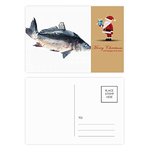 Cartes postales Père Noël Ocean Fish lot de 20 pour ne jamais manquer de vœux