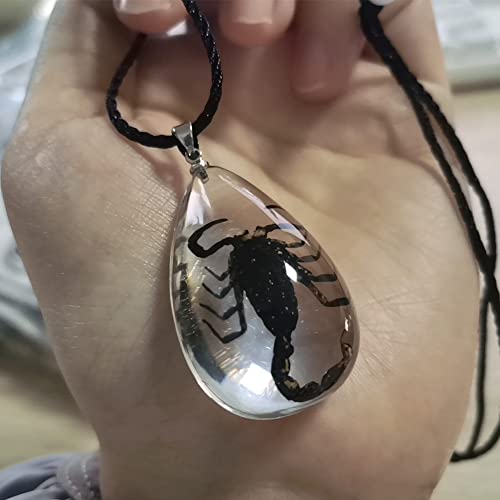 Black Scorpion Necklace Resin Necklace Bug Necklace Transparent Scorpion Pendant Real Black Scorpion Specimen Clear Necklace Scorpion Necklace for Women Men4