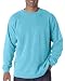 Chouinard Adult Ring Spun Bottom Hem Garment T-Shirt, Lagoon, Large