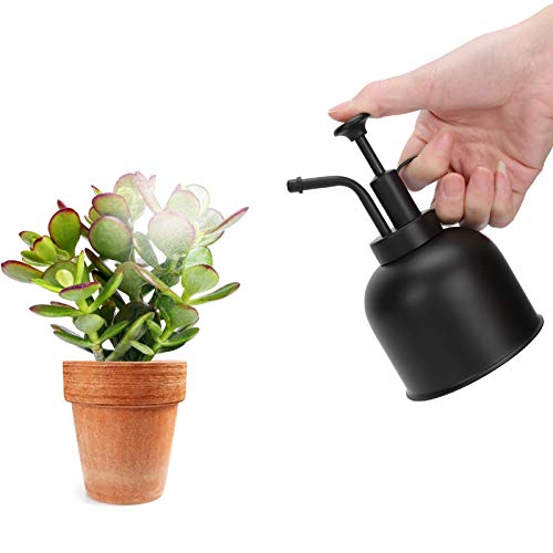 Pulverizador de pressão portátil, garrafa de spray de água, design de pressão manual para suculentas