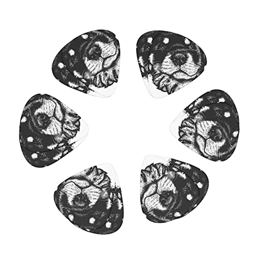 M^[sbN 12 3ނ̌ M^[sbNZbg sbNP[X [{bNXt AR[XeCNM^[ GLM^[ EN }h x[X oW[p Sҗp guitar picki0.46mm0.71mm&0.96mmj b