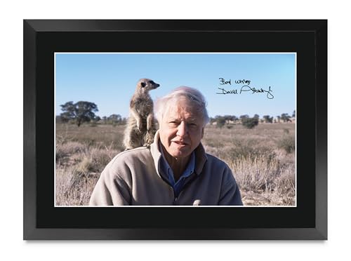 Cuadro de David Attenborough A3 enmarcado para decorar tu salón