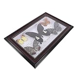 Gadpiparty Marco de Fotos de Mariposas Reales Madera Colección Enmarcada...