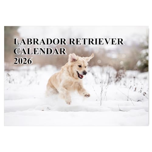 Yellow Labrador Calendar 2026 A4 12 Month Wall Calendar 2026 A3 When Open Golden Labrador Calendar 2026 Papa Prints