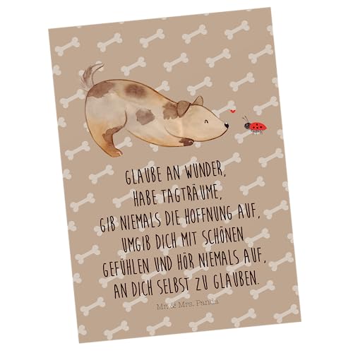 Mr. & Mrs. Panda Postkarte Hund Marienkäfer - Geschenk, Ansichtskarte, Träume, bildkarte, Zuversichtlich, Mischlingshund, Sprüche, Positiv, Ansichtskarten, Postkarten, Grußkarte, Wunder