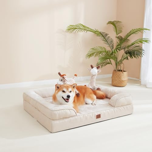 EHEYCIGA Orthopädisches Hundebett Kleine Hunde, 76x51cm, Memory Foam Hundekorb Mittelgroße Hunde, Waschbar Hundesofa Wasserdicht rutschfest, Hundecouch mit Hohem Rand, Beige