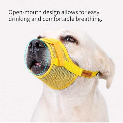 Image of Dog Muzzle, Breathable Mesh for Grooming & Nail Care, Yellow, S | Adjustable head and snout straps, quick-release buckle, soft padded edges
