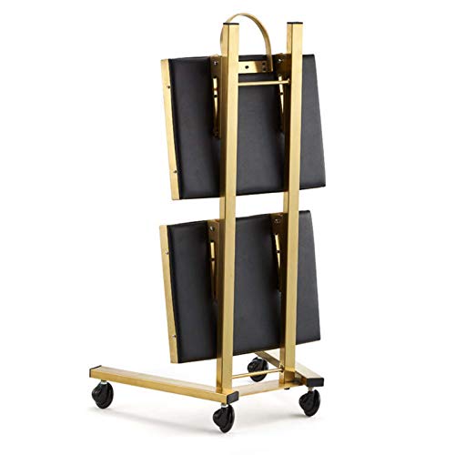 Chariot de coiffure 2 niveaux pour l'organisation de vos outils de coiffeur