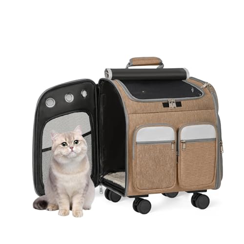 ybgL[obO L  bNJ[g bNL[ bNTbN LX^[t L[obO ybg L[ ^ e ybgpOoobO ybgpi ADFAJ[L(Khaki)