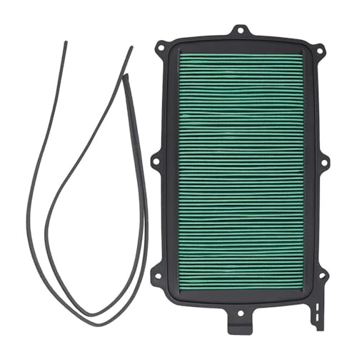 Filtro de motocicleta Talon 1000R y FOX 1000X-4 de repuesto 17215-HL6-A00