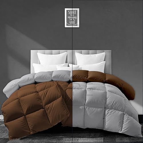 Image of PURE ECO Heavy Winter 400 GSM Comforter for Double Bed Size (90 inchX100 inch) - Soft Quality Winter Blanket Soft Microfiber Fill - Duvet /Blanket Double Bed - Chocolate Brown /Silver Grey Color