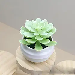 Plantas suculentas artificiais em vasos, pequenas plantas falsas para quarto, estética, sala de estar, escritório, prateleira, decoração de banheiro (branca)