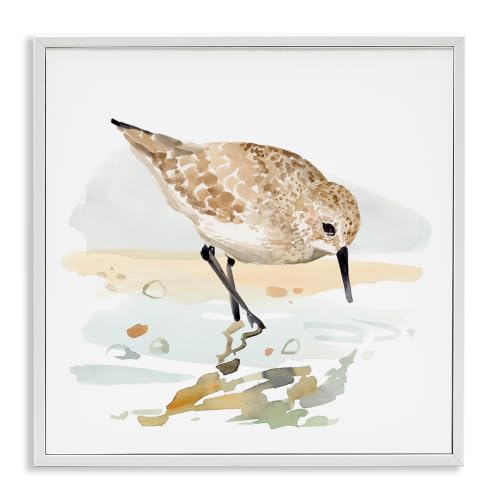 Sandpiper Shoreline Bird Landscape, 17 x 17 Inch Framed Giclée Print by Stupell Industries - Used condition - US$33.96