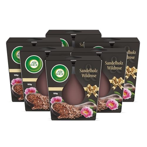 Air Wick Wohlfühl-Duftkerze im Glas Duft: Sandelholz & Wildrose Je bis zu 20 Stunden Brenndauer Enthält natürliche ätherische Öle 6 x 105 g Duftkerzenset