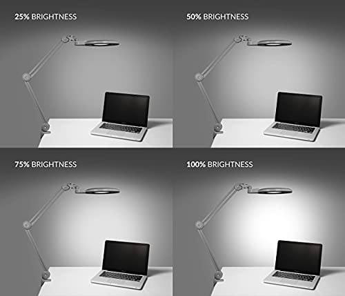 Image of Neatfi XL Bifocals 1,600 Lumens Super LED Magnifier Lamp with Clamp, Europe Plug, Large 7 Inches Acrylic Lens, 5 Diopter with 20 Diopter, Hands Free, Dimmable,16W, 84 PCS SMD LED (Silver)