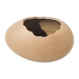 Mini jardinière en céramique : conçue de manière élaborée, ce qui lui donne un aspect moderne et chic. conception artistique le rend plus attrayant pour les gens.