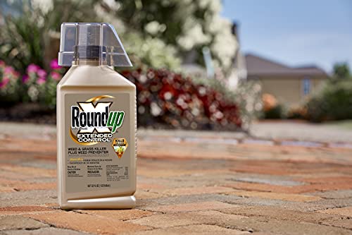 Roundup Concentrate Extended Control Weed & Grass Killer Plus Weed Preventer, 32 Fl. Oz. (6-Pack) #TOP1