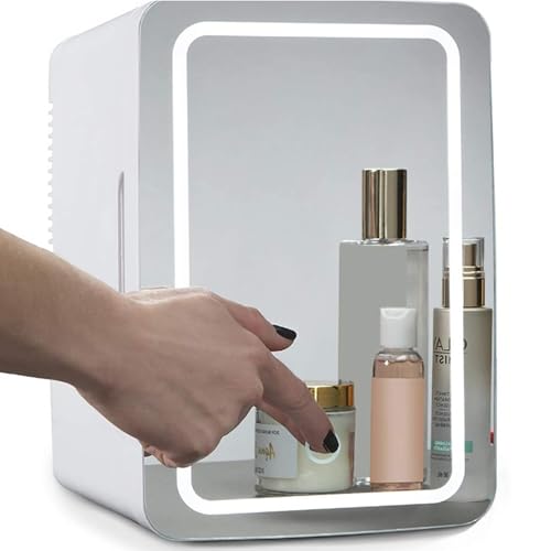 DongDongQiang Maquillaje Nevera con LED Espejo, Mini Refrigerador Portátil Refrigerador Coche, LED Espejo De Maquillaje, Congelador Cosmético para Dormitorio, Oficina, Coche(8L&12L) 12L