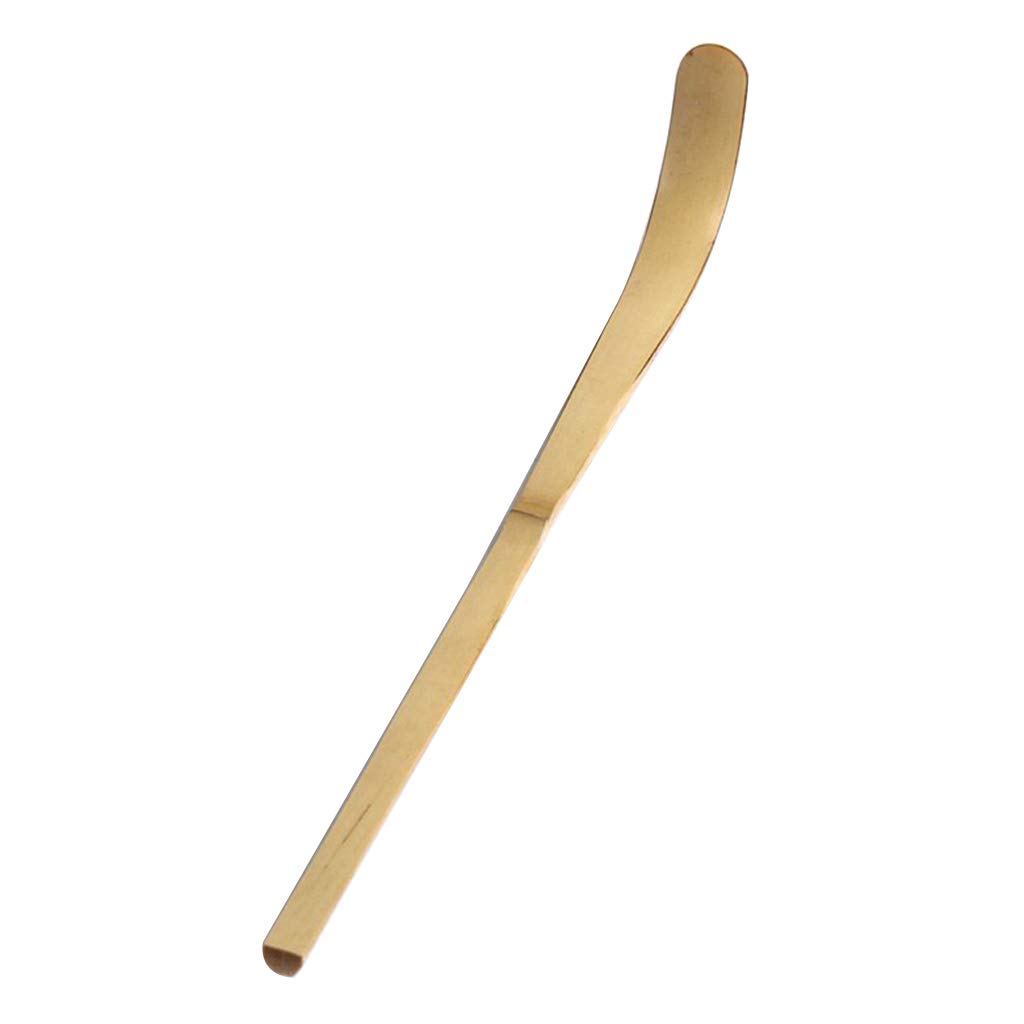 lfdhcn Cuillère à matcha en bambou – Outil traditionnel pour la préparation et la présentation du thé – 1 pièce