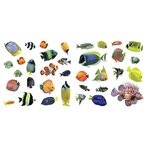 RoomMates Tropical Fish Peel and Stick Wall Decals, Yellow, Blue, Orange, 4 Sheets 9 inches x 17.375 inches - Image 2