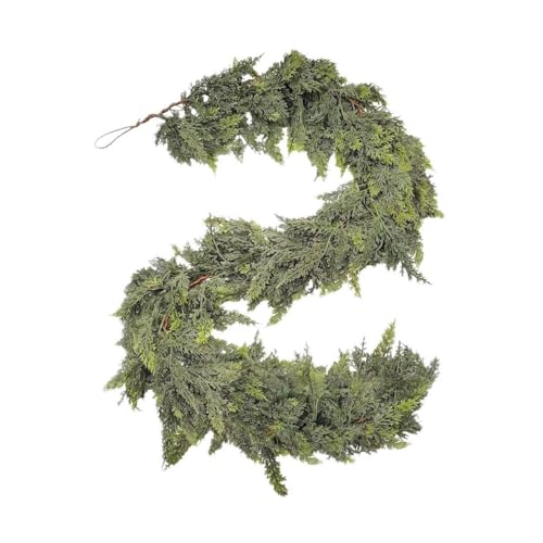 MetieFasia lHK[hA肷AhAp̋ŨNX}XfR[V