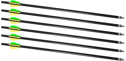 Traditions A2217 Crackshot XBR Archery Bow Hunting 2216 Firebolt Arrows 6Pk