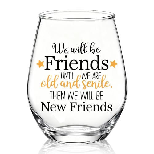 XQLZY We Will Be Friends Until We Are Old And Senile Stemless Wine Glass, Inspirational Friendship...