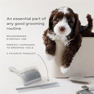 Stainless Steel Metal Everyday Dog Comb for Grooming and Removing Tangles and Knots with Rounded Teeth and Good for All Dogs Stainless Steel Metal Everyday Dog Comb for Grooming and Removing Tangles and Knots with Rounded Teeth and Good for All Dogs