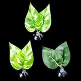 Qsvbeeqj Paquete de 3 tanques de peces, paisaje, plantas, estilos de naturaleza, decoración del hogar, adornos de paisaje para peces bettas y reptiles