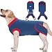 Recovery Suit for Dogs Cats After Surgery, Anti-Licking Male Female Dog Cone E-Collar Alternative Recovery Shirt Breathable Pet Surgical Recovery Snuggly Suit for Pet's Wounds, Bandages, Soft Fabric