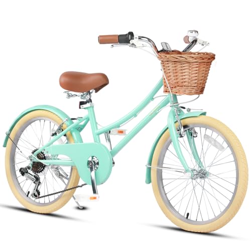 Glerc 20 Inch Beach Cruiser Bike, 6-Speed Hybrid City Bicycl