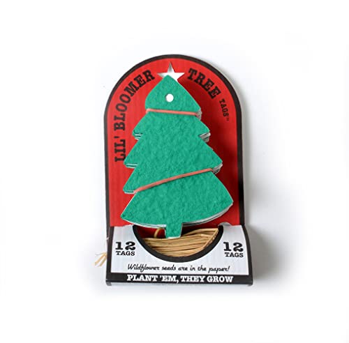 Bloomin Seed Paper Holiday Ornament Kit (Tree)