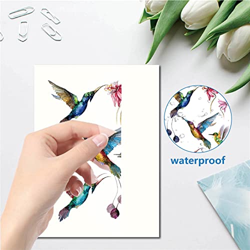 CRASPIRE 16 Styles Hummingbird Wall Decals Flower Stickers Colorful Birds Window Stickers Waterproof Removable Vinyl Wall Art for Restroom Bedroom Living Room Decorations - Image 3