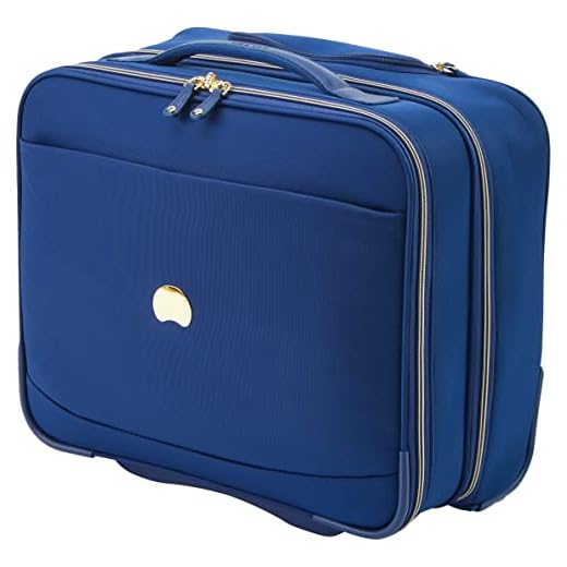 Delsey MONTROUGE: PILOTO Cabina - PROTECCIÓN PC 15.6, Azul