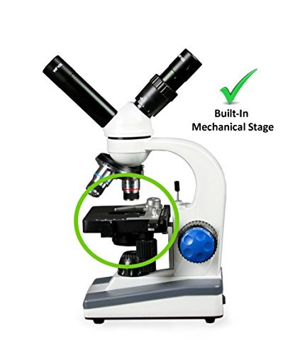 Vision Scientific Vme0018-St-Rc Dual View Elementary Level Compound Microscope, 10X Wf & 25X Wf Eyepiece, 40X—1000X Magnification, Brightfield Led Illumination, Mechanical Stage, Rechargeable Battery #TOP1