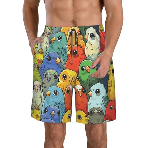 Men's Quick Dry Swim Shorts Cute Colorful Birds Cartoon Drawing Beach Trunks with Pockets