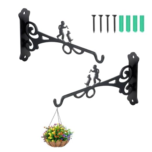 2 Pezzi Staffe da Parete per Vasi da Appendere, Supporti in Ferro Battuto per Vasi da Balcone e Piante da Interno, Gancio Portavasi Esterno per Fiori, Lanterne, Cesti