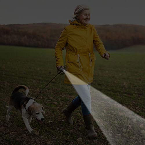 Adaskala engraçado gato caneta lanterna brinquedo LED caneta USB de carregamento 3 modos de iluminaç