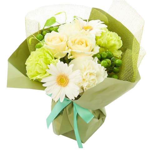 bloomee(u[~[) ̂܂܏ u[P  STCY (Gift for you J[h t)  ~j ԑ (Mtg v[g j) ސEj j Ǝ JXj t[Mtg (ԕrsv 炸)