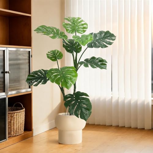 観葉植物 モンステラ 大型」の人気商品一覧・価格比較 - 価格.com