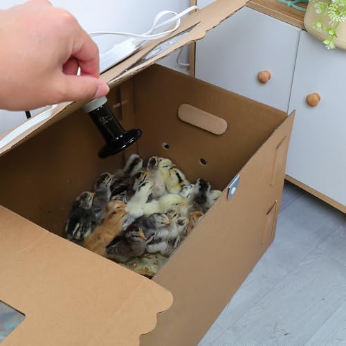 AsFrost 33" Extra Large Chick Brooder Box for 40 Chicks, Dual 75W No-Light Ceramic Heat Lamps, Adjustable Thermostat, 6 Waterproof Pads, Poultry Brooder for Quail, Rabbits & Reptiles by AsFrost - Image 8