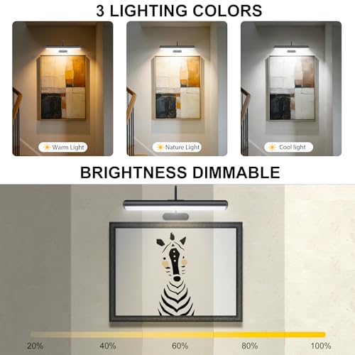 Image of Wireless Picture Light for Wall, Battery Painting Lighting with Metal Material, Remote Control,3 Lighitng Colors,300LM Brightness Dimmable, Timer Auto-off, Adjustable Light head for Portrait Gallery