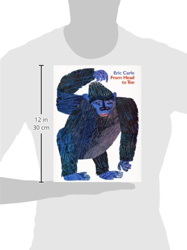 Image of From Head to Toe: A Colorful Interactive Adventure That Gets Kids Moving from Head to Toe
