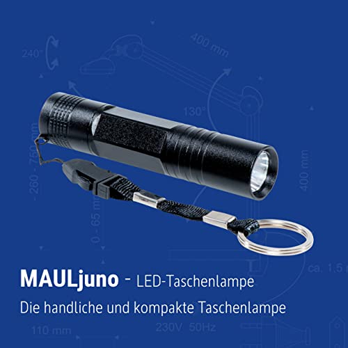 MAUL LED-Taschenlampe MAULjuno – kompakte und outdoor-taugliche LED Taschenlampe inkl. Anhänger – kleine Stabtaschenlampe mit langer Leuchtdauer und Spritzwasserschutz (IPX4) – schwarz