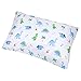 Wildkin 100% Cotton Twin Sheet Set – Soft & Cozy Bed Sheets - Dinosaur Land