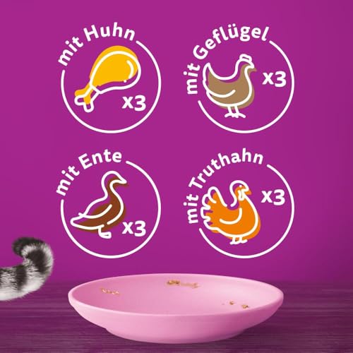 WHISKAS Junior Nassfutter Portionsbeutel Multipack, Geflügelauswahl in Gelee, 12 x 85g