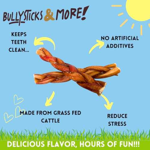 Image of BULLYSTICKS & MORE - 6 Inch Braided Bully Sticks - 10 Count