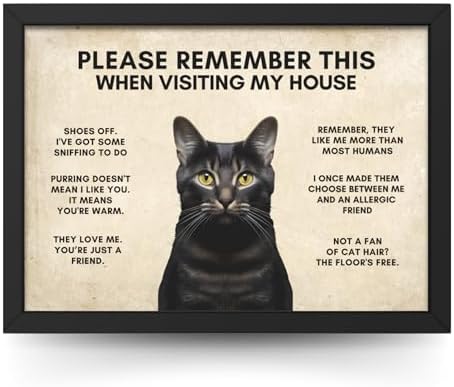 State Media Vision Funny Cat House Rules Wall Print - Cat Lover’s Hilarious Reminder for Guests - Black Cat Poster - Variety of Sizes (Black Cat, A4 Print Only)
